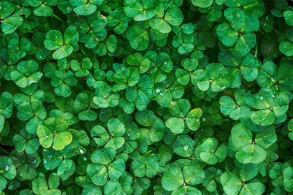 2022年春季开业吉日查询，开业要准备什么东西？