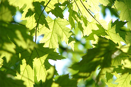 2022壬寅虎年冬季适合店铺开张开业的好日子