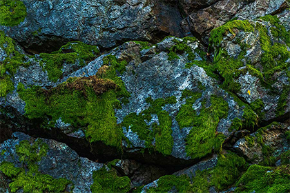 2022年农历十一月黄道吉日一览，十一月有哪些别称？