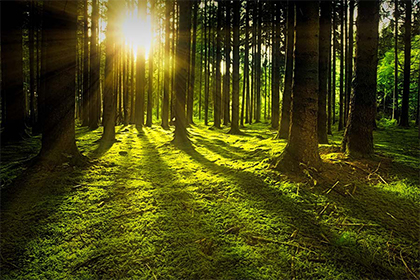 壬寅年2022年秋天理发吉日查询