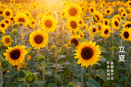 2022年立夏节气是几月几号？当天是黄道吉日吗？