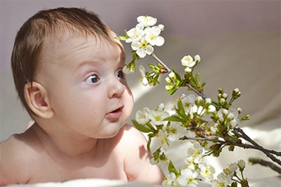 我属鼠老公属鸡今年可以生一个属虎的孩子吗？