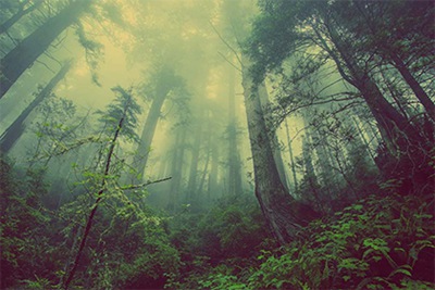 2022壬寅虎年春季有哪些是黄历好日子？