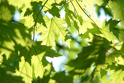 2022年下半年黄道吉日有几天？为什么要择吉？