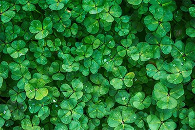 2022年下半年有哪些日子是凶日破日？