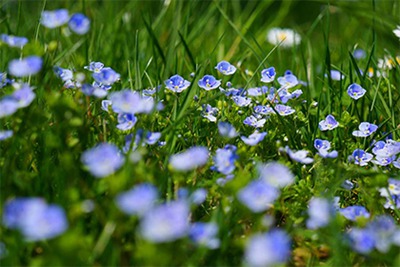 2022年秋季凶日破日有哪些？什么是四离日？