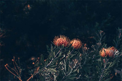 2022年冬季有哪些黑道凶日需要注意？