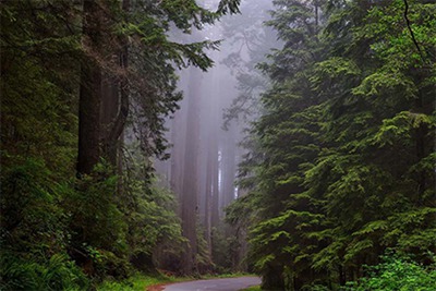 2022年年底有哪些日子是黑道凶日？