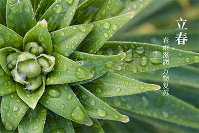 2022年有立春吗？2022年立春是农历哪一天？