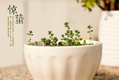 2022年惊蛰是哪一天几点几分？惊蛰节气吃什么？