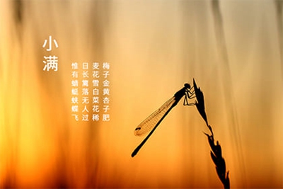 2022年小满节气倒计时，小满是每年的第几个节气？