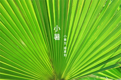 小暑节气是入伏吗？2022年小暑节气是什么时候？