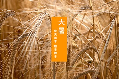 2022年大暑是几月几号？大暑节气经典诗词