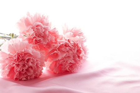 属牛人2022年9月运势