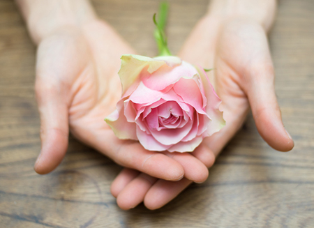 属兔狮子座2022年运势