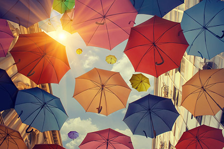 属羊双鱼座2022年运势