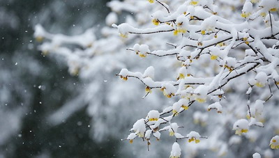 2022年冬季宜建房动土的好日子一览表