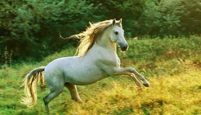 属马2022年应该要注意什么时候？90年属马32岁有一劫吗？