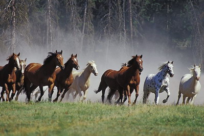 2022壬寅虎年属马人结婚吉日一览表