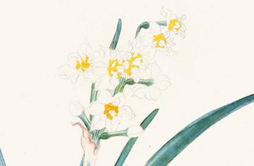 好日子查询:2022年2月属狗人哪天适合搬家入宅 