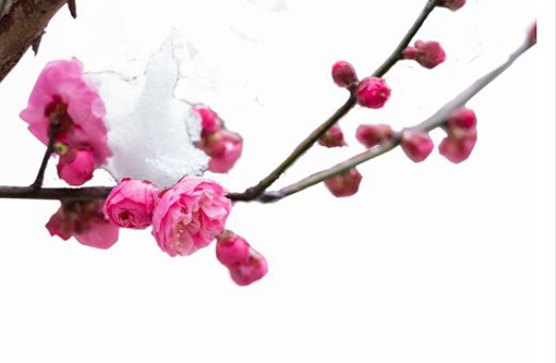 吉日查询:2022年2月搬家入宅好日子有几天 