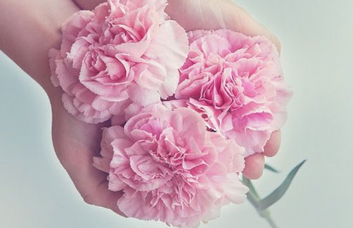 2022年3月生肖猪订婚上等吉日 订亲最佳好日子