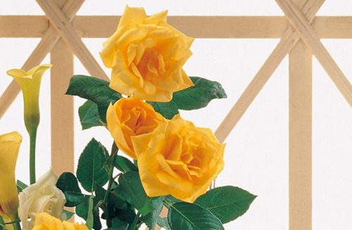 虎年2022夏季上等订婚日子 最好的提亲吉日