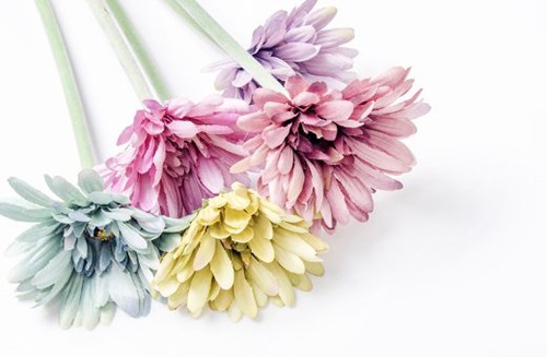 好日子查询:2022年1月14日订婚吉利吗