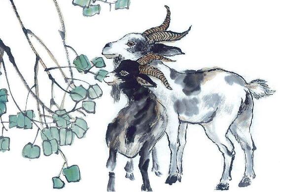 2022年生肖羊的人适合结婚吗，运势好不好？