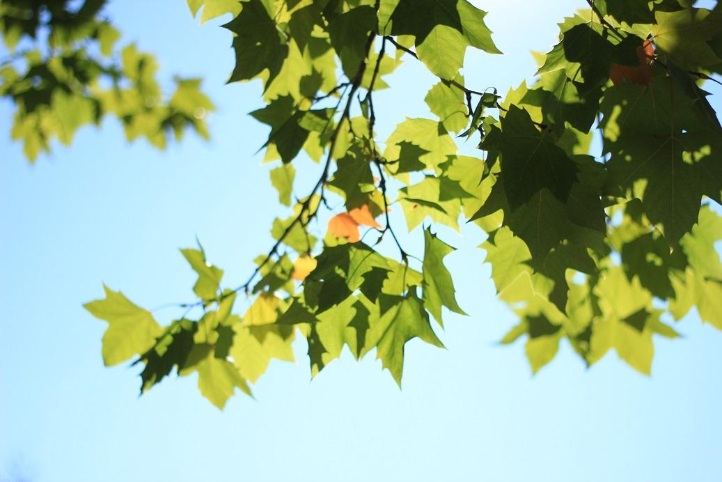 2022年年底农历安床吉日有几天，安床的黄道吉日大全