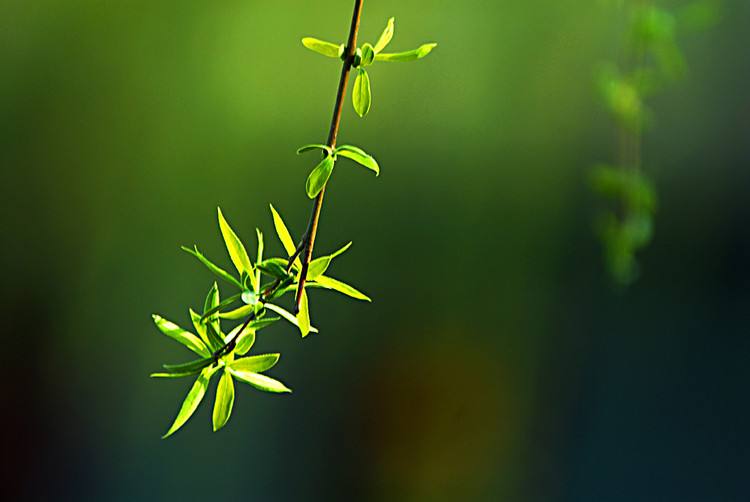 2022年夏季的阳历出殡吉日查询大全