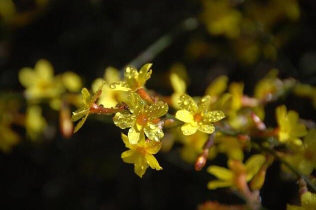 2022年农历三月属羊人的整体运势解析