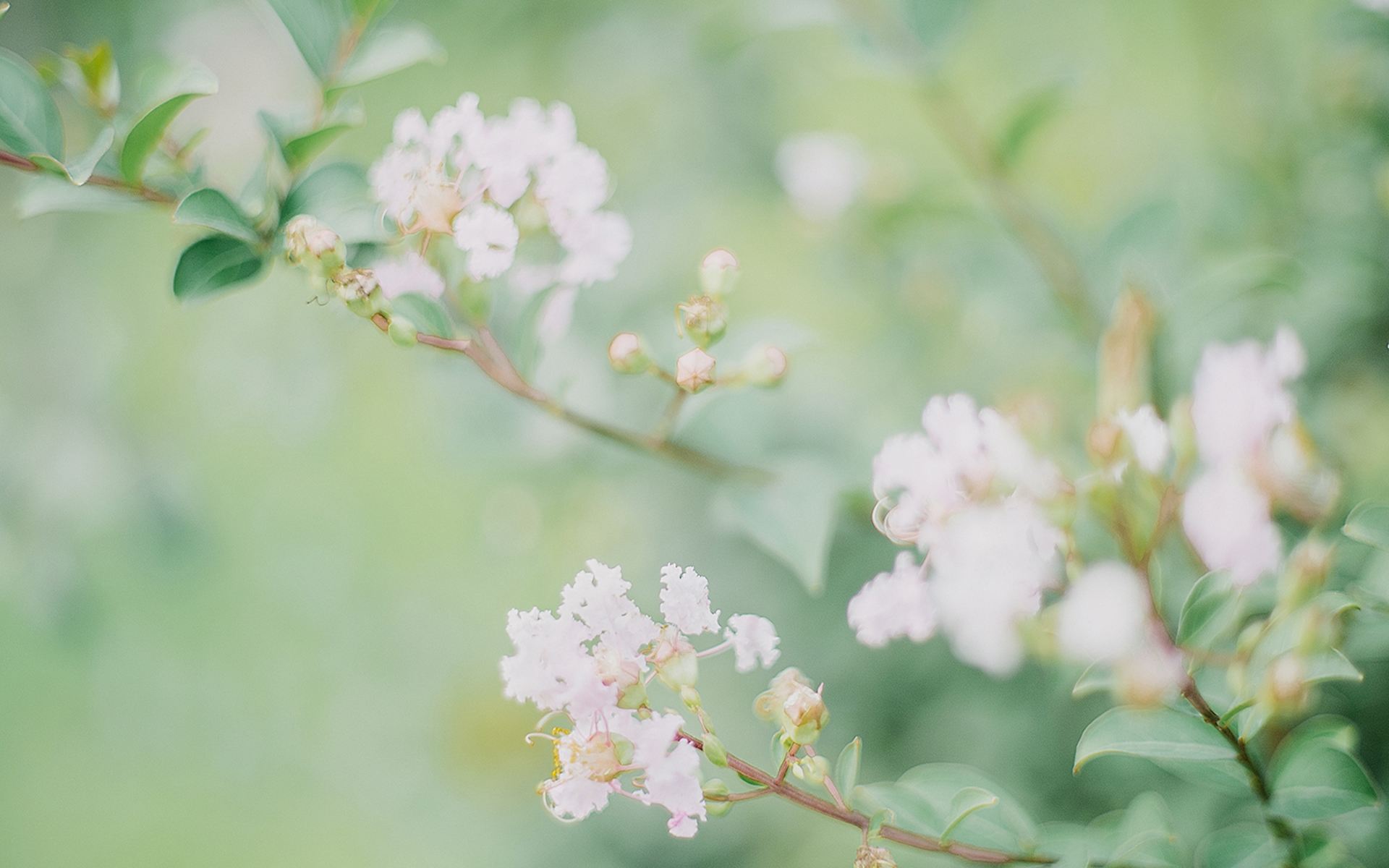 2022年农历四月属羊人各方面的运势如何，整体运势好吗？