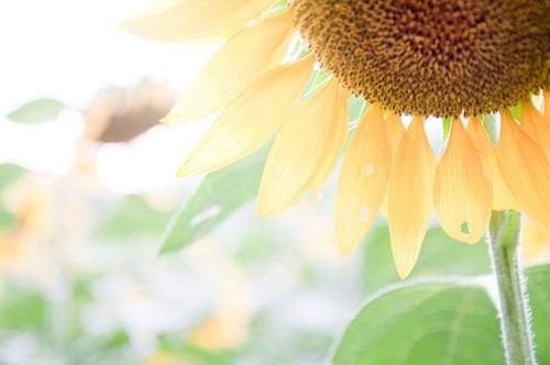 2022年下半年的阳历开业开张吉日大全