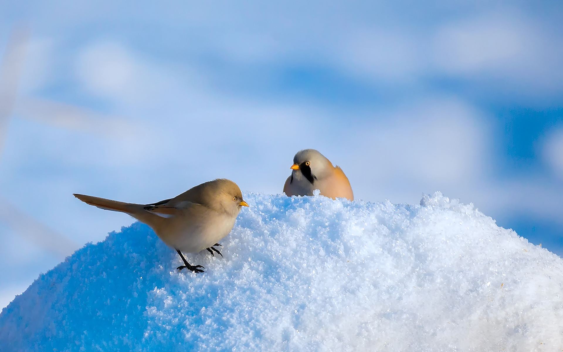 2022年冬季的阳历理发吉日有几天，理发黄道吉日一览