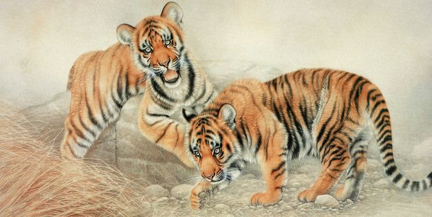 老公属羊我属猪2022年能怀孕生孩子吗？2022年出生的宝宝是什么命？