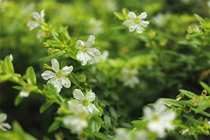 2022年春季破日凶日的阳历时间查询