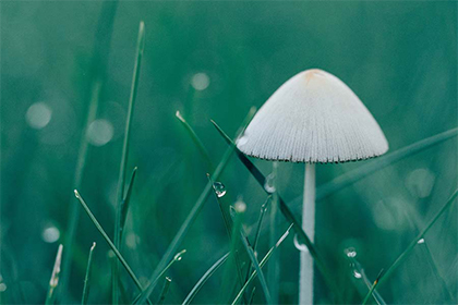 2022年春季破日凶日的农历日期一览