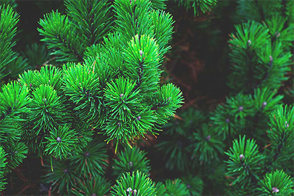 2022年冬季破日凶日的阳历时间，有几天？