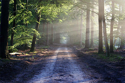 2022年冬季破日凶日的农历时间和日期盘点