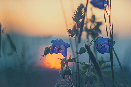 2022年秋季的阳历装修吉日一共有几天？装修有什么忌讳？