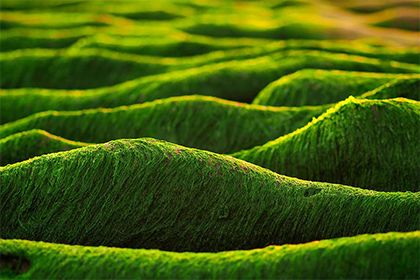 2022年秋季农历有几天装修的黄道吉日？装修开工时间怎么看？