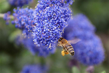 2022年春天有几天黄道吉日，黄道吉日的农历时间一览