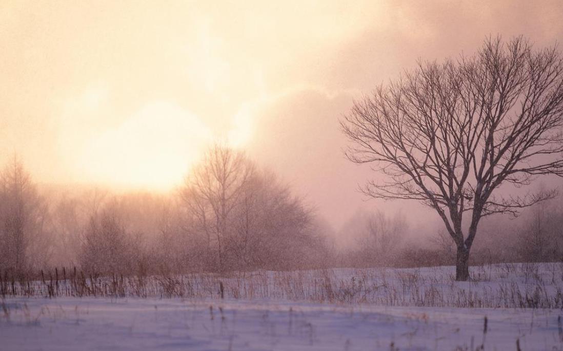 2022年冬季农历十月到十二月的黄道吉日大全