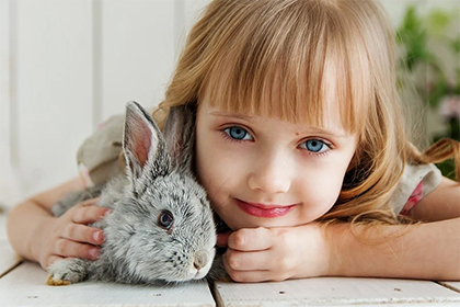 我的生肖属虎，老婆的生肖是鸡可以在2022年生虎宝宝吗？