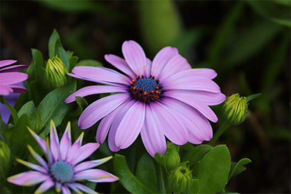 2022年农历三月有哪几天是凶日？凶日中杨公忌日是什么意思？