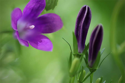 2022年农历十月黑道凶日介绍，哪几天日子不好？