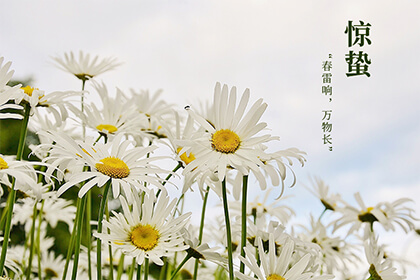 2022年惊蛰具体时间：几月几日几点几分几秒？