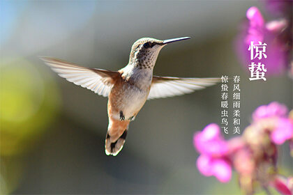 2022年春分是几月几日？春分有哪些习俗？