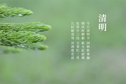 2022年清明节是在几月几日？清明节是习俗有哪些？